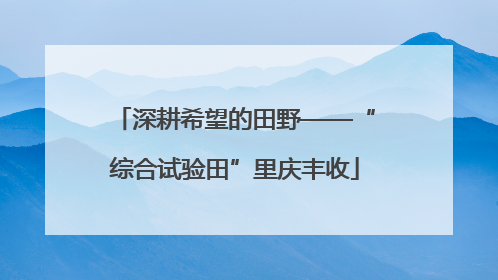 深耕希望的田野——“综合试验田”里庆丰收