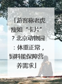 游客称老虎瘦如“卡片”？北京动物园：体重正常，饲料能保障营养需求