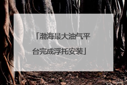 渤海最大油气平台完成浮托安装