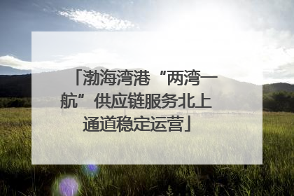 渤海湾港“两湾一航”供应链服务北上通道稳定运营