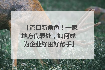 港口新角色！一家地方代表处，如何成为企业纾困好帮手