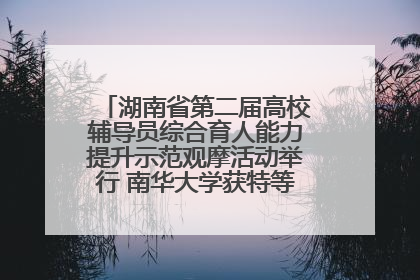 湖南省第二届高校辅导员综合育人能力提升示范观摩活动举行 南华大学获特等奖和一等奖