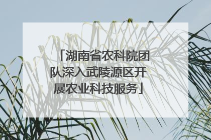 湖南省农科院团队深入武陵源区开展农业科技服务