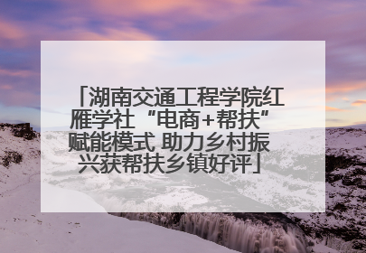 湖南交通工程学院红雁学社“电商+帮扶”赋能模式 助力乡村振兴获帮扶乡镇好评