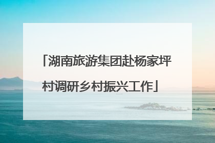 湖南旅游集团赴杨家坪村调研乡村振兴工作