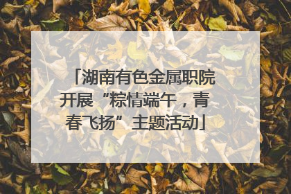 湖南有色金属职院开展“粽情端午，青春飞扬”主题活动