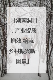 湖南洞口：产业提质增效 绘就乡村振兴新图景