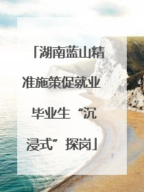 湖南蓝山精准施策促就业 毕业生“沉浸式”探岗