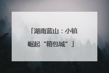湖南蓝山：小镇崛起“箱包城”