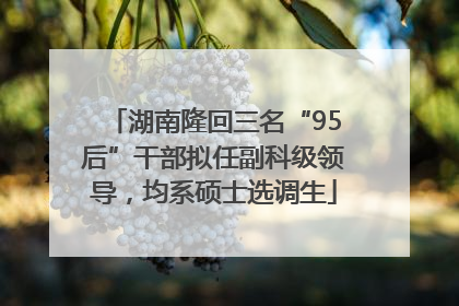 湖南隆回三名“95后”干部拟任副科级领导，均系硕士选调生