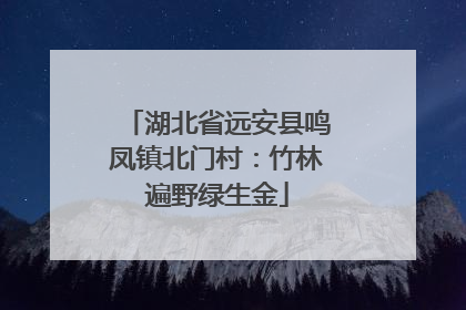 湖北省远安县鸣凤镇北门村：竹林遍野绿生金