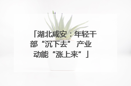 湖北咸安：年轻干部“沉下去” 产业动能“涨上来”