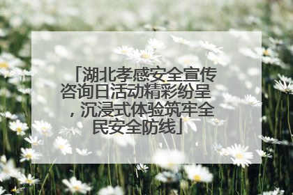 湖北孝感安全宣传咨询日活动精彩纷呈，沉浸式体验筑牢全民安全防线