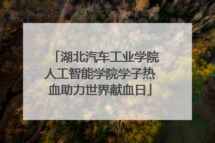 湖北汽车工业学院人工智能学院学子热血助力世界献血日