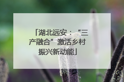 湖北远安：“三产融合”激活乡村振兴新动能
