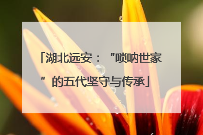 湖北远安：“唢呐世家”的五代坚守与传承