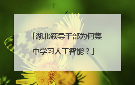 湖北领导干部为何集中学习人工智能？
