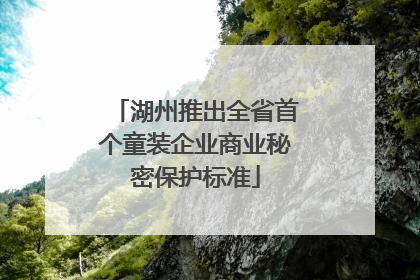 湖州推出全省首个童装企业商业秘密保护标准