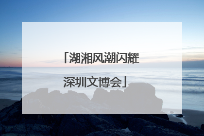 湖湘风潮闪耀深圳文博会
