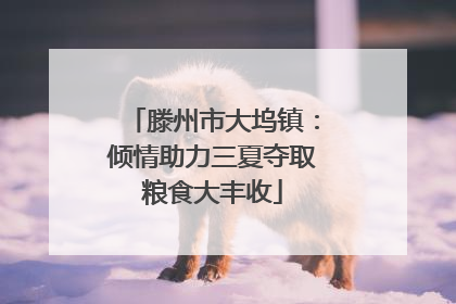 滕州市大坞镇：倾情助力三夏夺取粮食大丰收