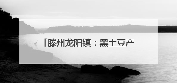 滕州龙阳镇：黑土豆产业铺就乡村振兴致富路