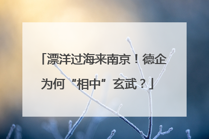 漂洋过海来南京！德企为何“相中”玄武？