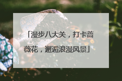 漫步八大关，打卡蔷薇花，邂逅浪漫风景