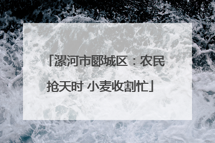 漯河市郾城区：农民抢天时 小麦收割忙