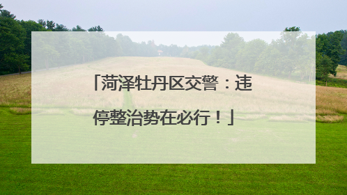 菏泽牡丹区交警：违停整治势在必行！
