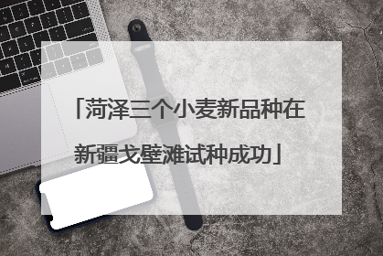 菏泽三个小麦新品种在新疆戈壁滩试种成功