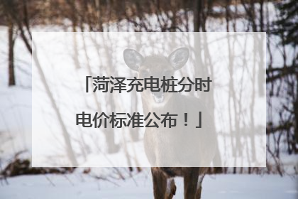 菏泽充电桩分时电价标准公布！