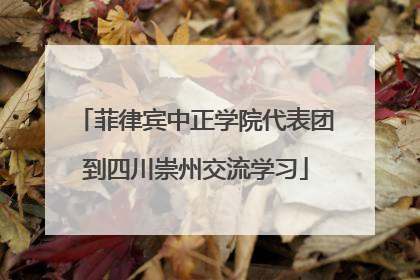 菲律宾中正学院代表团到四川崇州交流学习