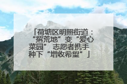 荷塘区明照街道：“撂荒地”变“爱心菜园” 志愿者携手种下“增收希望”