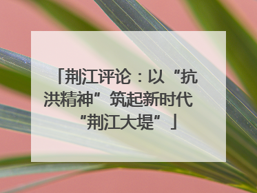 荆江评论：以“抗洪精神”筑起新时代“荆江大堤”