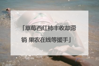 草莓西红柿丰收却滞销 果农在线等援手