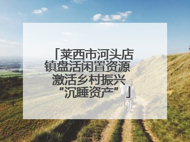 莱西市河头店镇盘活闲置资源 激活乡村振兴“沉睡资产”