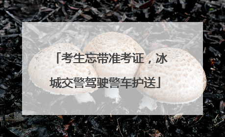 考生忘带准考证，冰城交警驾驶警车护送