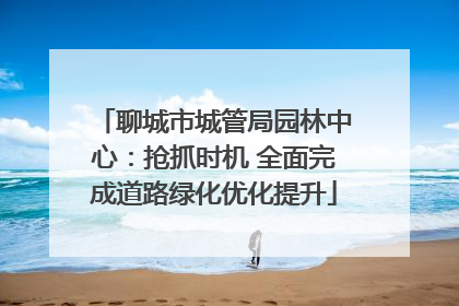 聊城市城管局园林中心：抢抓时机 全面完成道路绿化优化提升