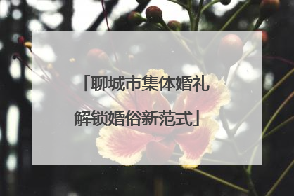 聊城市集体婚礼解锁婚俗新范式