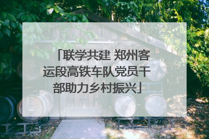联学共建 郑州客运段高铁车队党员干部助力乡村振兴