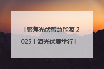 聚焦光伏智慧能源 2025上海光伏展举行