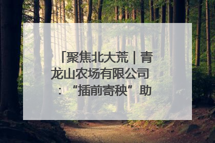 聚焦北大荒｜青龙山农场有限公司：“插前寄秧”助力农业节本增效