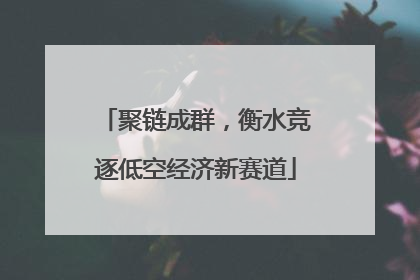 聚链成群，衡水竞逐低空经济新赛道