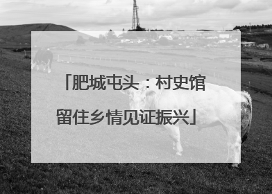 肥城屯头：村史馆留住乡情见证振兴