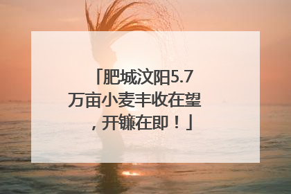 肥城汶阳5.7万亩小麦丰收在望，开镰在即！