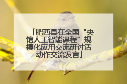 肥西县在全国“央馆人工智能课程”规模化应用交流研讨活动作交流发言