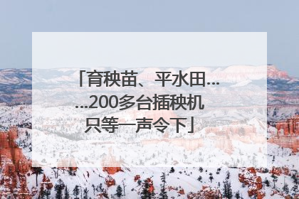 育秧苗、平水田……200多台插秧机只等一声令下