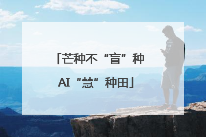 芒种不“盲”种 AI“慧”种田