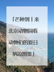 芒种到丨来北京动物园看动物们的夏日纳凉图鉴