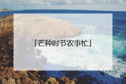 芒种时节农事忙